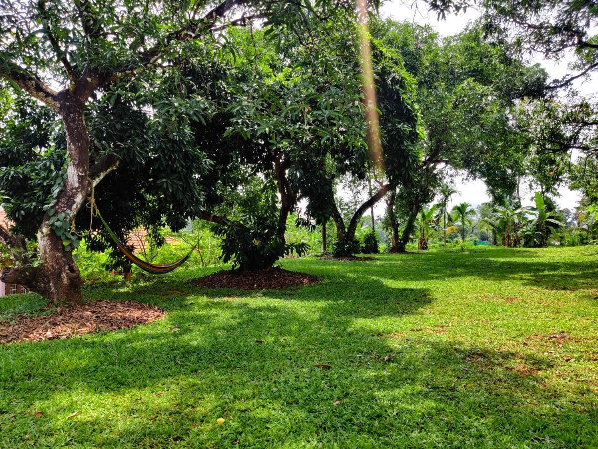 Carmel Tourism Village Kotamangalam Exterior foto