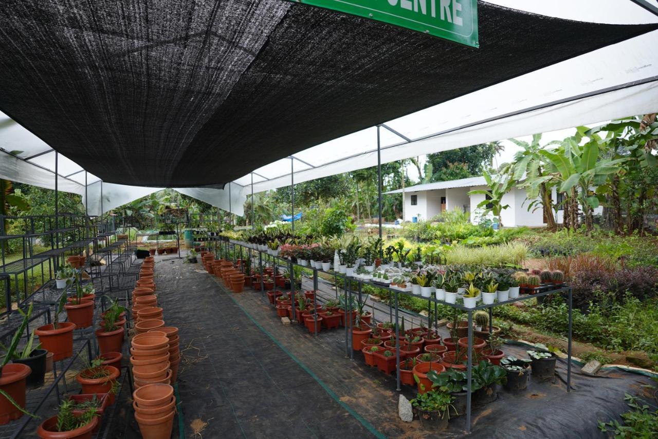 Carmel Tourism Village Kotamangalam Exterior foto
